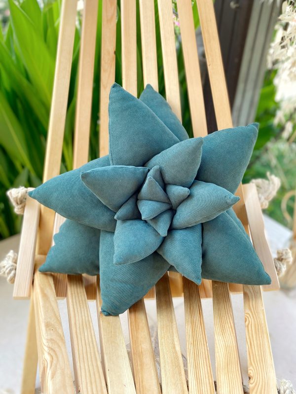 Sukulent kırlent çam yeşili